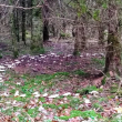 La magie du cercle Coaching nature éco-coaching grandjean